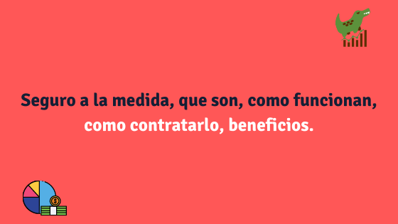 Seguro a la medida, que son, como funcionan, costos, beneficios.